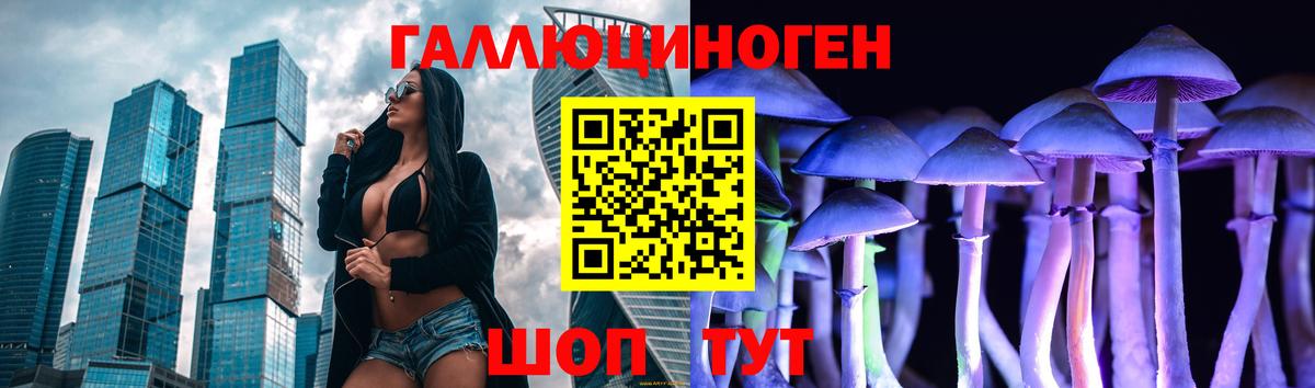 Галлюциногенные грибы Psilocybe Тобольск